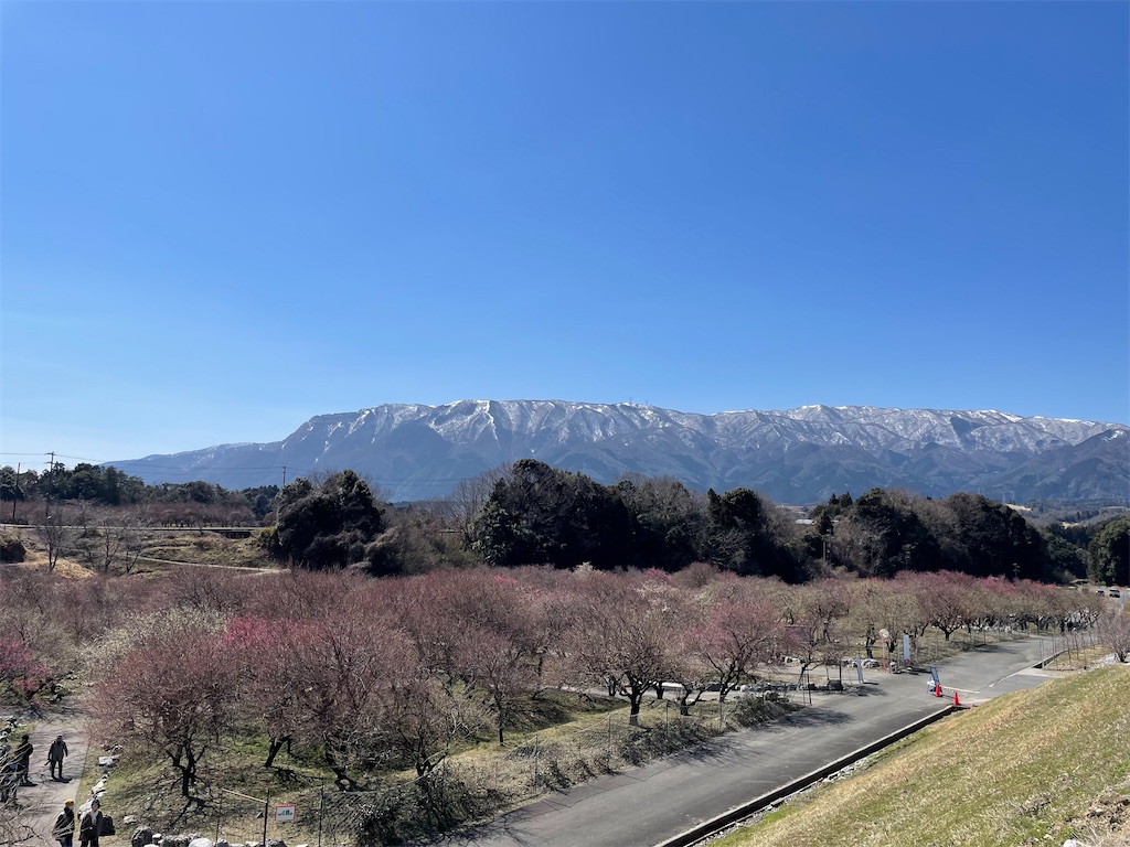 f:id:inagon175:20250312215243j:image