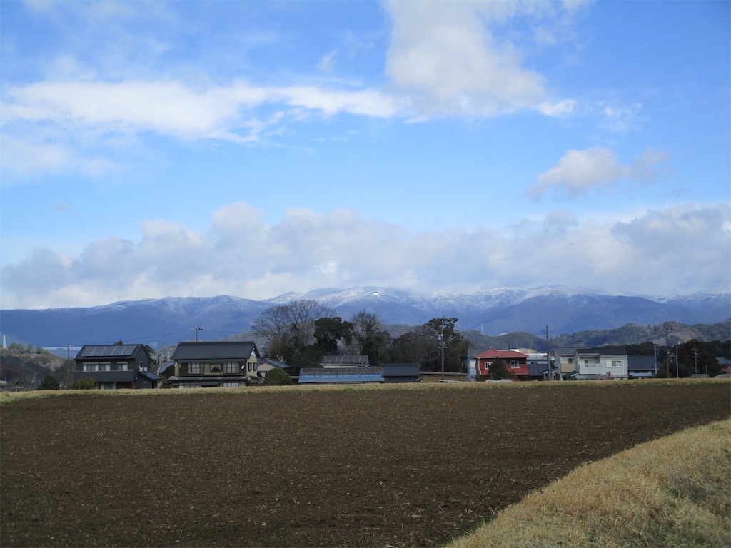f:id:inagon175:20250321143540j:image