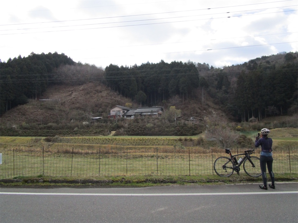 f:id:inagon175:20250331165311j:image