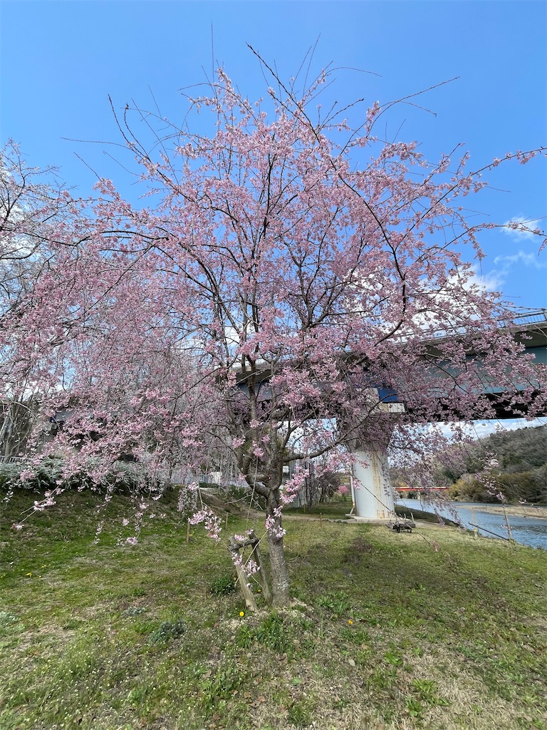 f:id:inagon175:20250331165318j:image