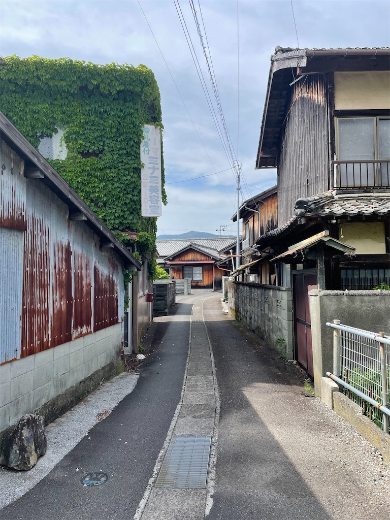 f:id:inagon175:20250519103504j:image