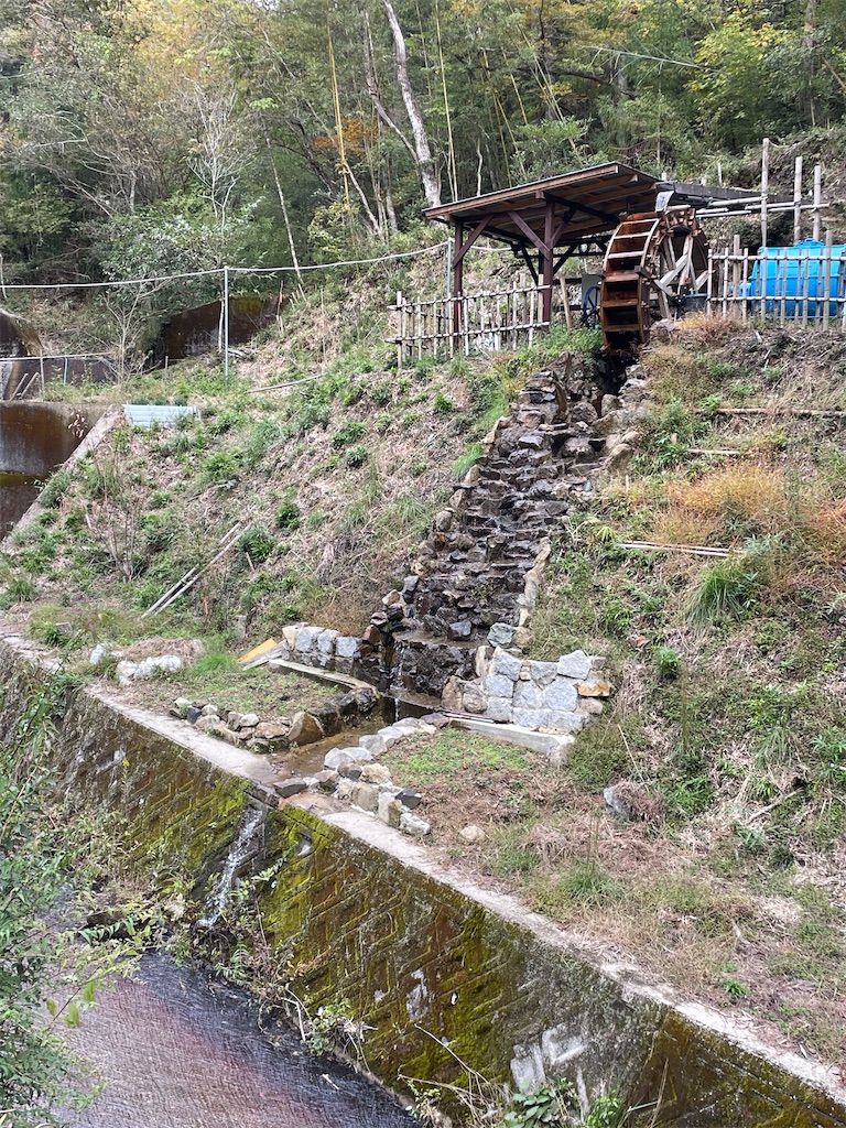 f:id:inagon175:20251103073951j:image f:id:inagon175:20251103073951j:image