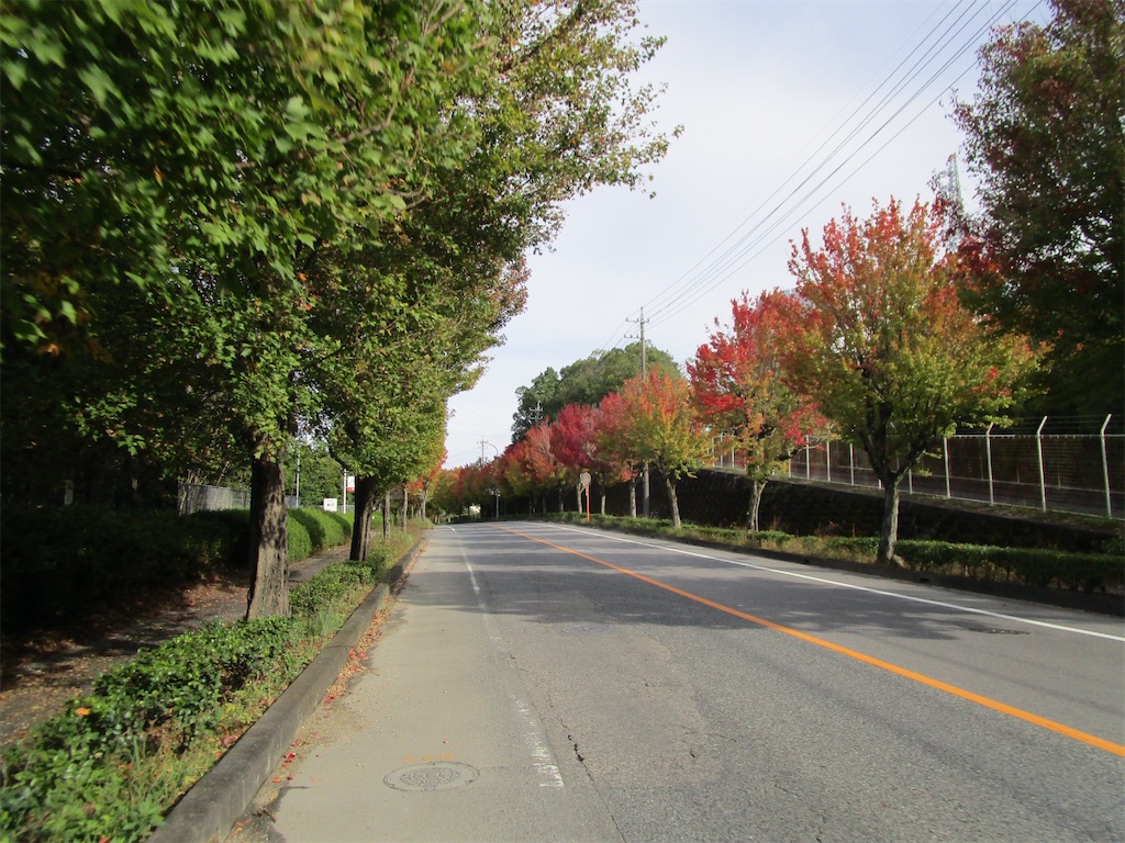 f:id:inagon175:20251103074002j:image f:id:inagon175:20251103074002j:image