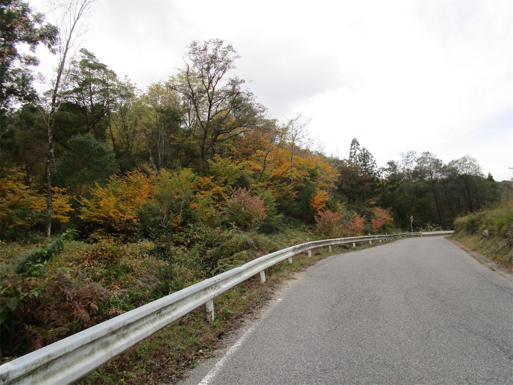 f:id:inagon175:20251103074013j:image f:id:inagon175:20251103074013j:image