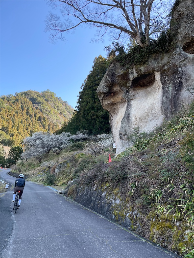 f:id:inagon175:20260302095853j:image