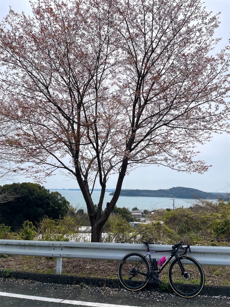 f:id:inagon175:20260322205955j:image