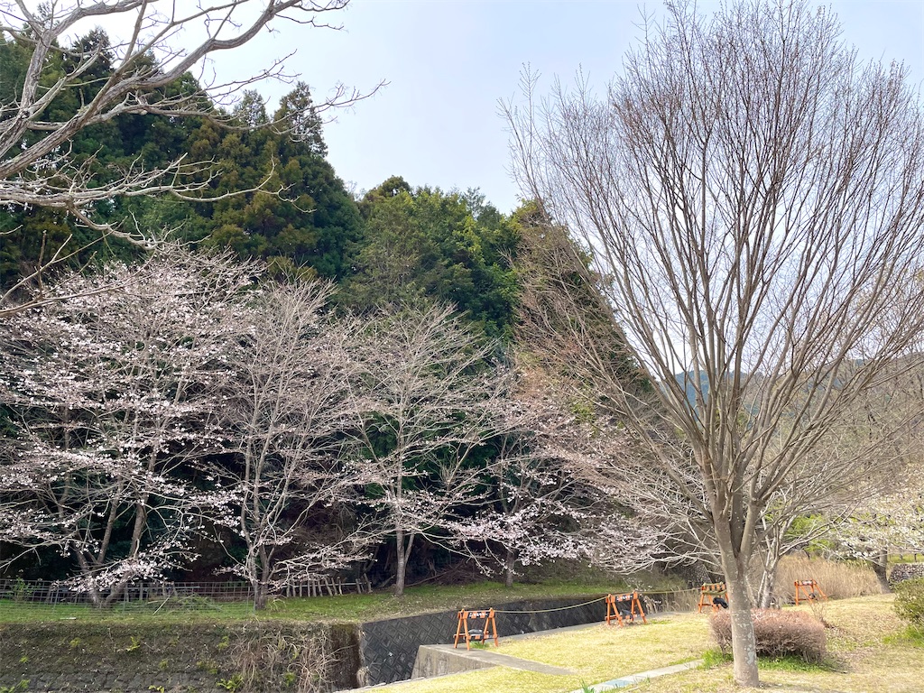 f:id:inagon175:20260407120240j:image