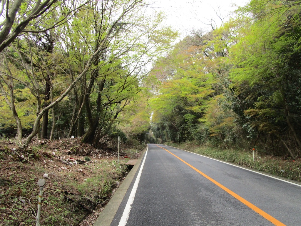 f:id:inagon175:20260407121028j:image