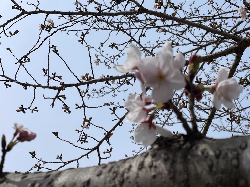 f:id:inagon175:20260414141509j:image