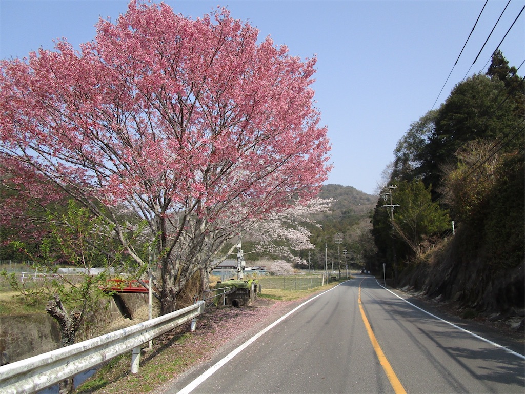 f:id:inagon175:20260414143455j:image
