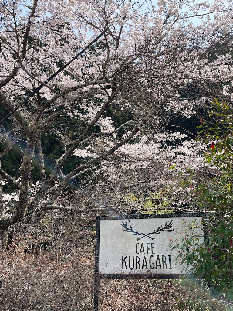 f:id:inagon175:20260414143504j:image