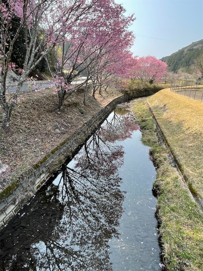 f:id:inagon175:20260414143517j:image