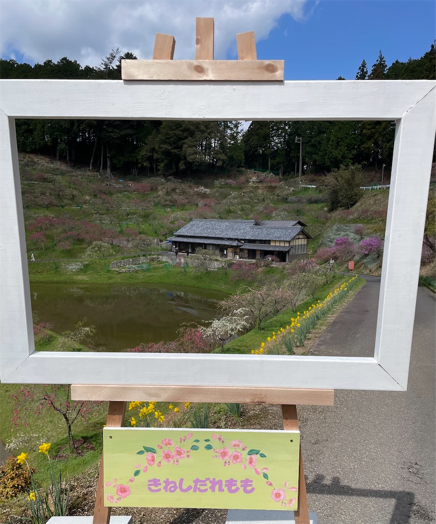 f:id:inagon175:20260414144108j:image