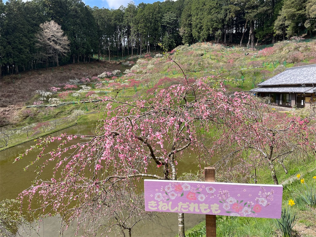 f:id:inagon175:20260414144447j:image