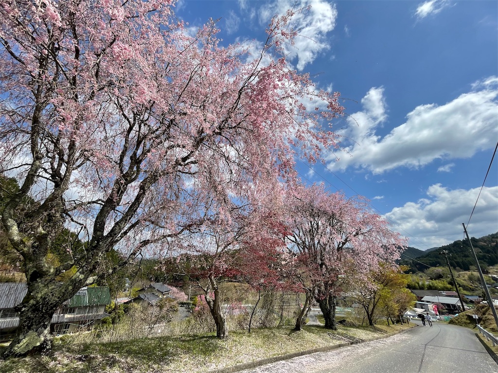 f:id:inagon175:20260414144502j:image