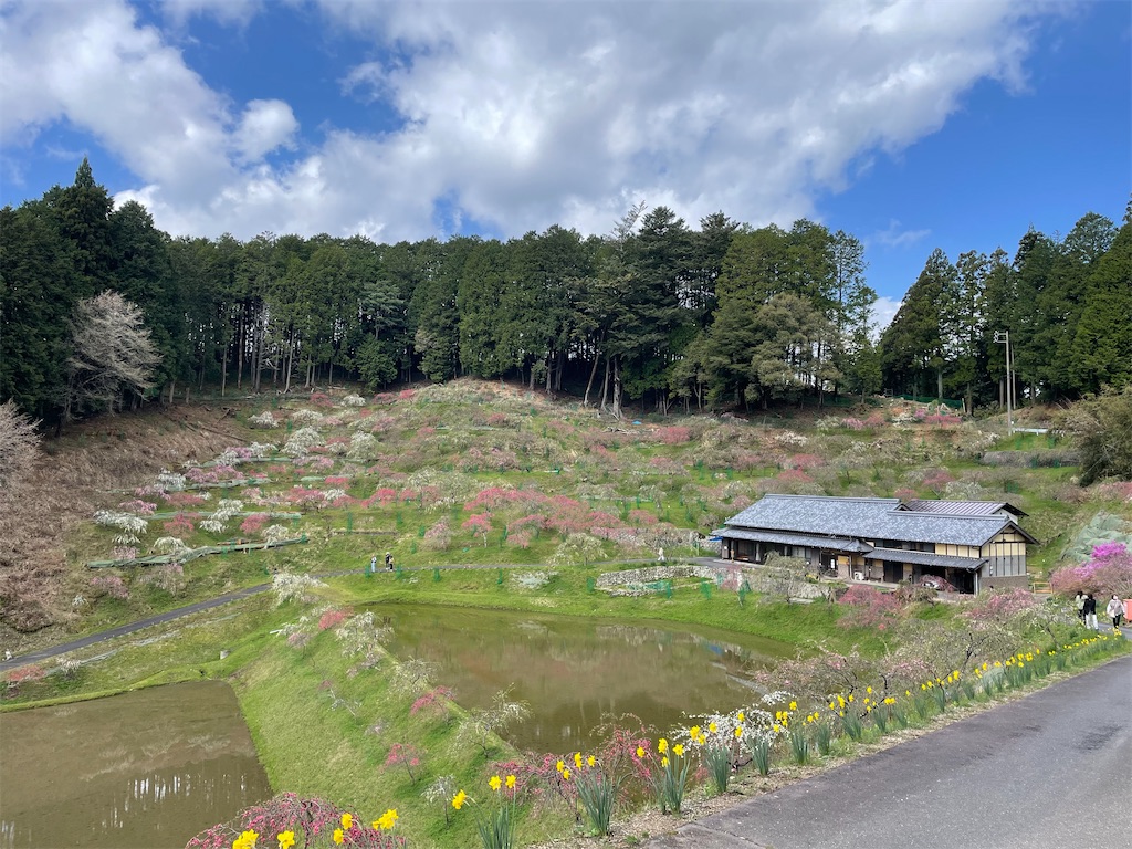 f:id:inagon175:20260414144522j:image
