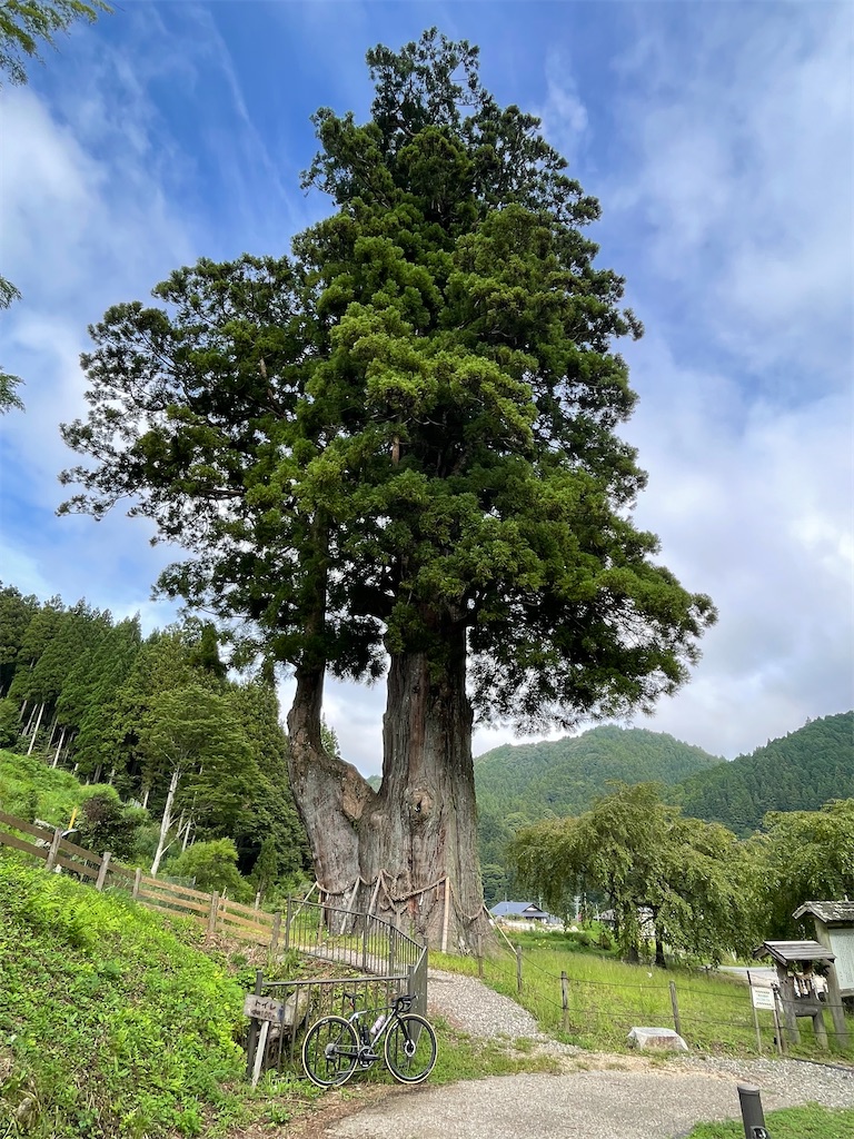f:id:inagon175:20260822183344j:image