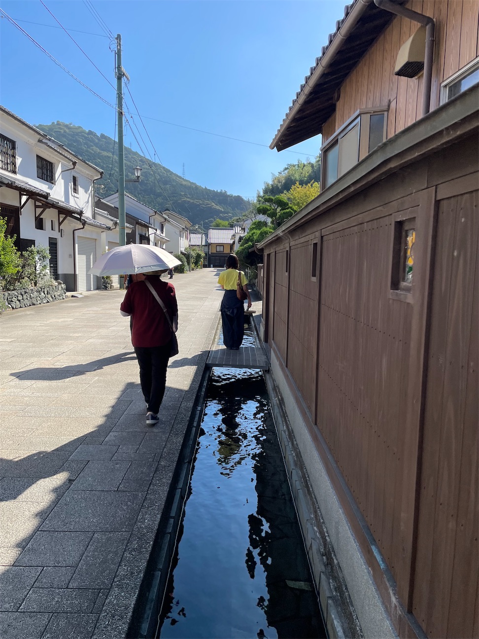 f:id:inagon175:20261002215541j:image