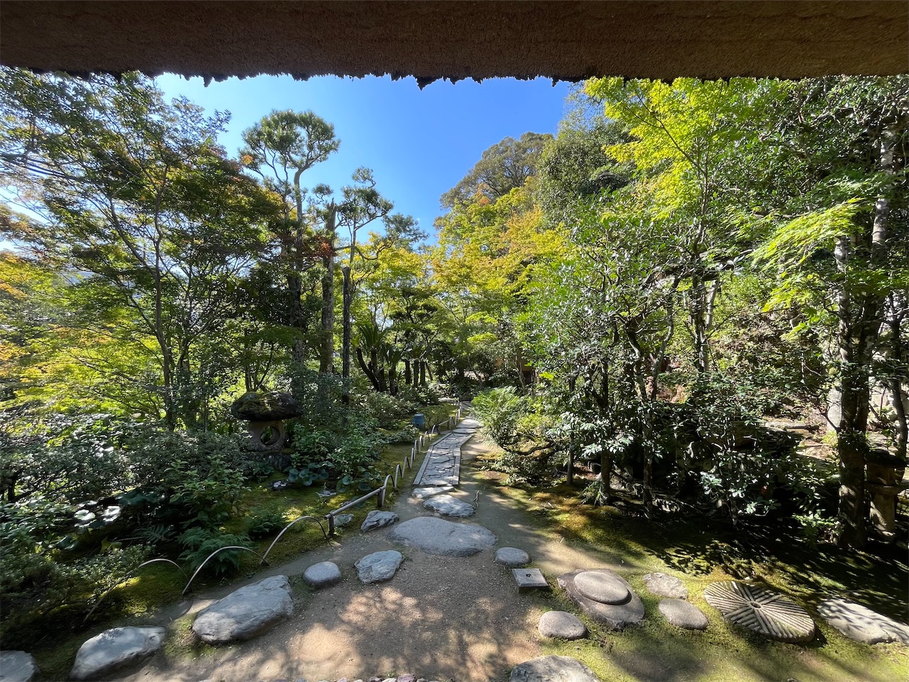 f:id:inagon175:20261002215550j:image