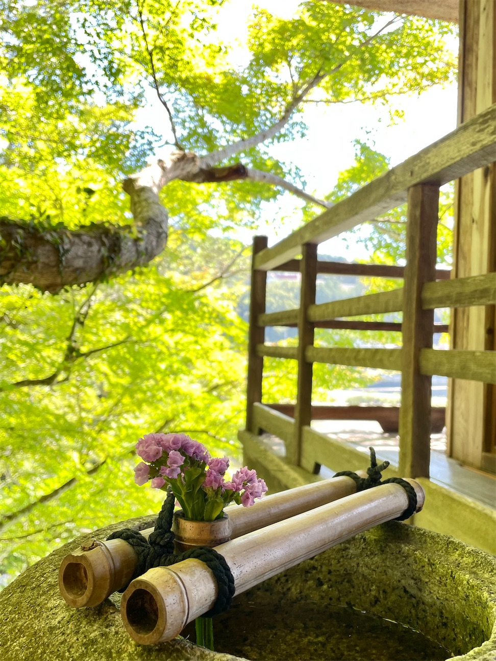 f:id:inagon175:20261002215602j:image