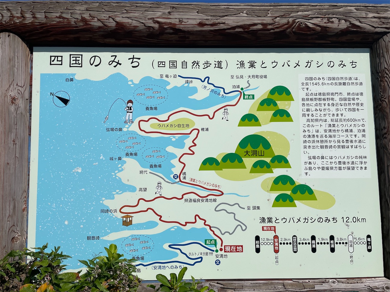 f:id:inagon175:20261009120405j:image f:id:inagon175:20261009120405j:image
