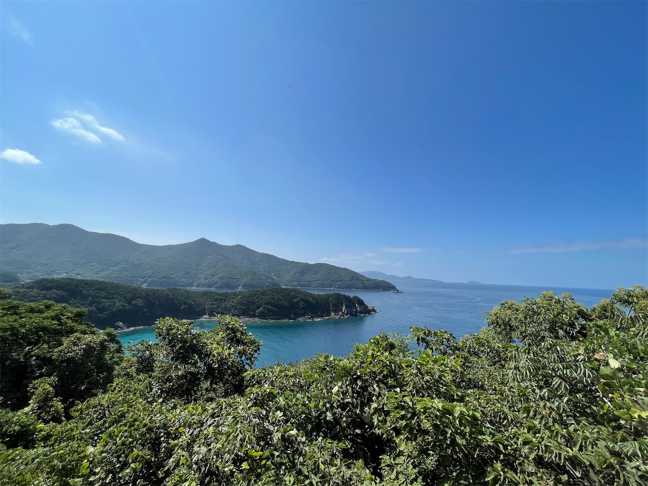 f:id:inagon175:20261009120409j:image f:id:inagon175:20261009120409j:image