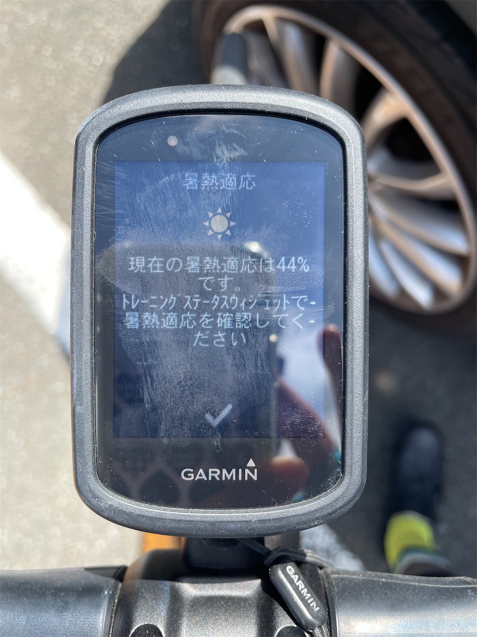 f:id:inagon175:20261009120418j:image f:id:inagon175:20261009120418j:image