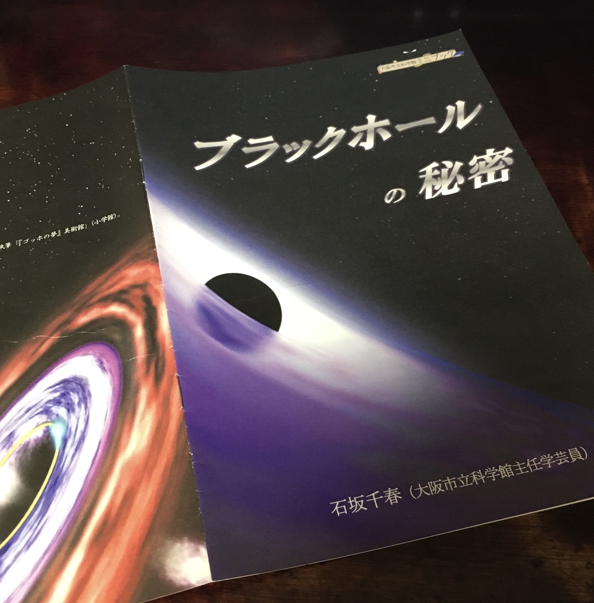 f:id:inainaco:20210626225609j:plain