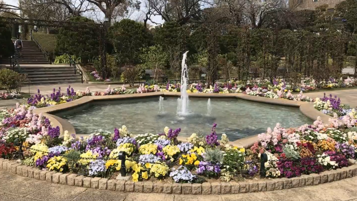 f:id:inajob:20190323221106p:plain