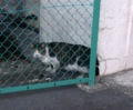 f:id:inaka:20131223155656j:image:medium