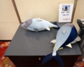 f:id:inaka:20131223155658j:image:medium