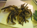 f:id:inaka:20131228234832j:image:medium