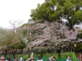 f:id:inaka:20160409214224j:image:medium