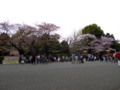 f:id:inaka:20160409214227j:image:medium