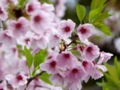 f:id:inaka:20160409214233j:image:medium