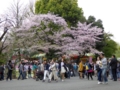 f:id:inaka:20160409214241j:image:medium
