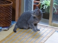 f:id:inaka:20160827213025j:image:medium