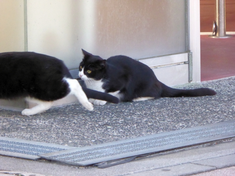 f:id:inaka:20170109134944j:image:w300