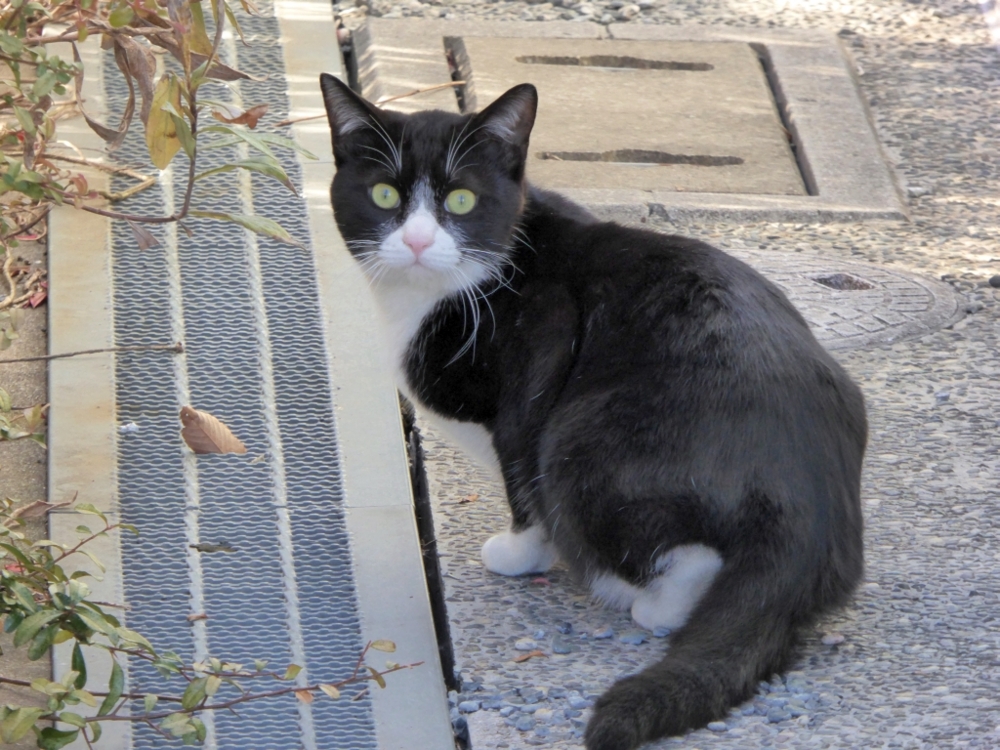 f:id:inaka:20170109134945j:image:w300