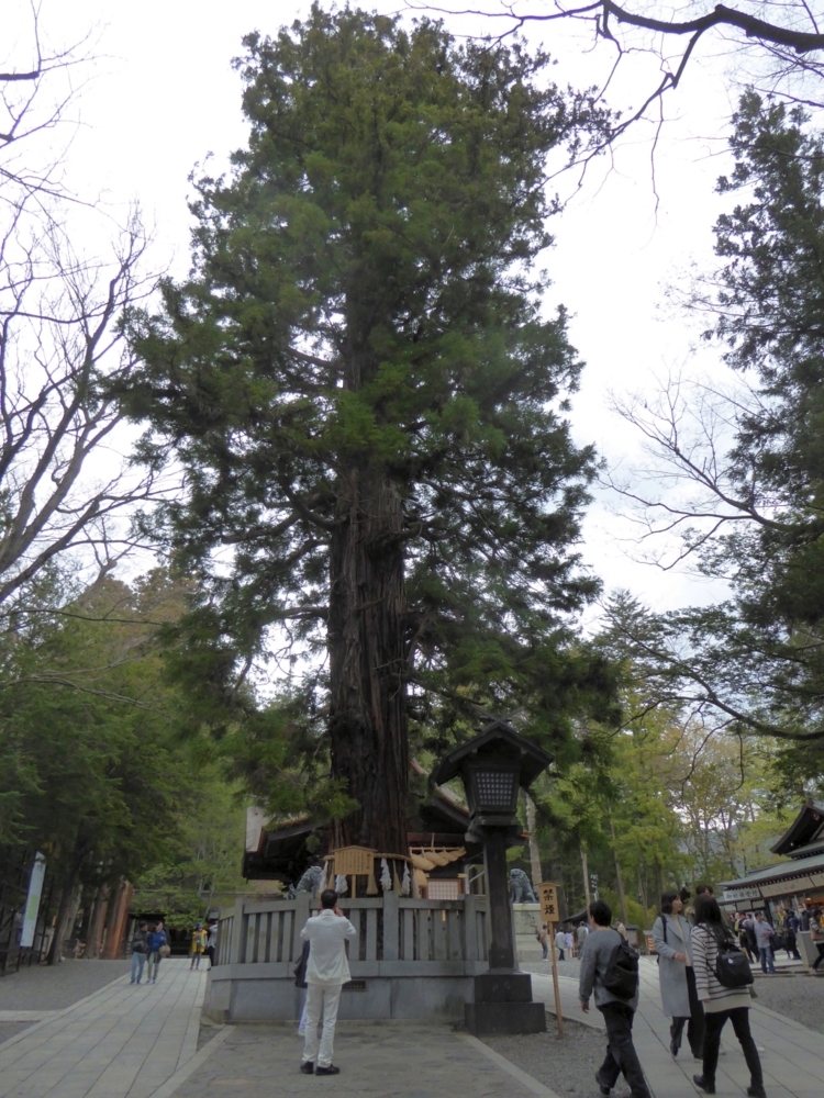 f:id:inaka:20180415211814j:image:w360