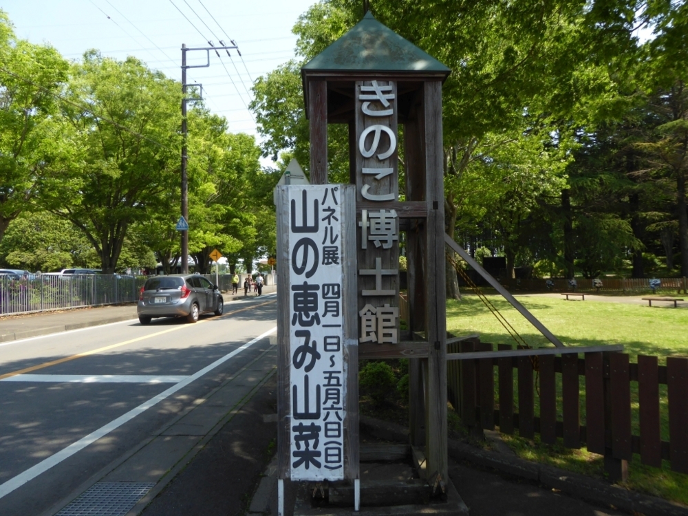 f:id:inaka:20180506204340j:image:w360