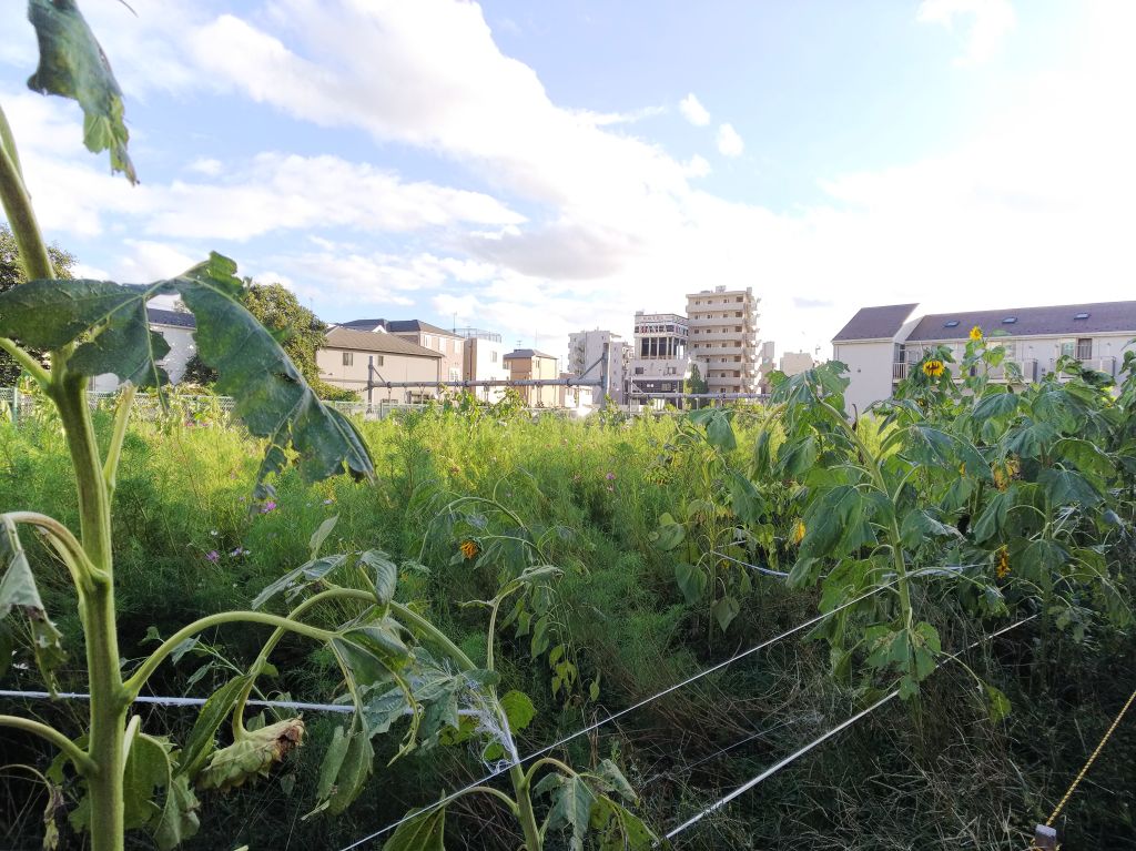f:id:inaka:20180909171519j:image:w360