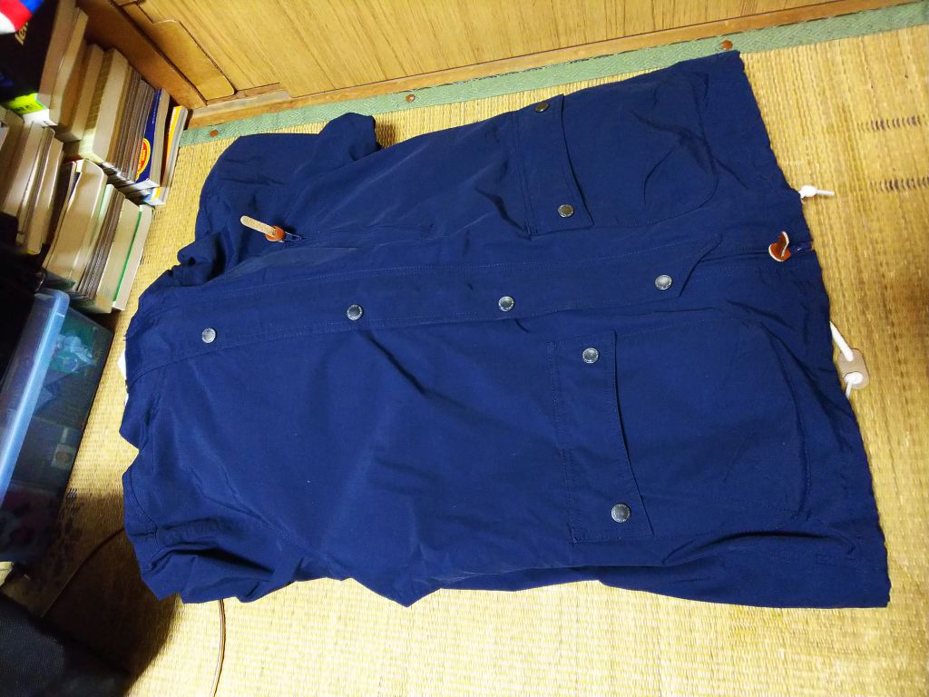 f:id:inaka:20181219230626j:image:w360