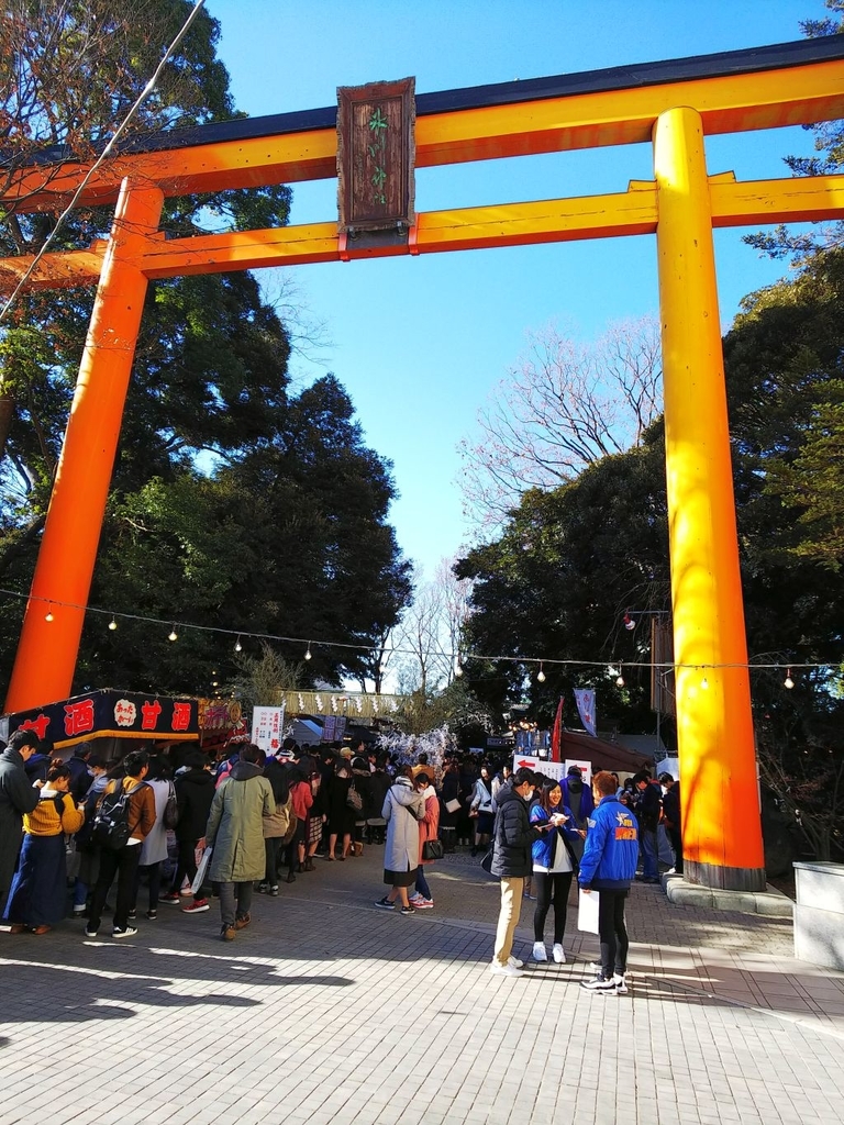 f:id:inaka:20190114175909j:image:w300