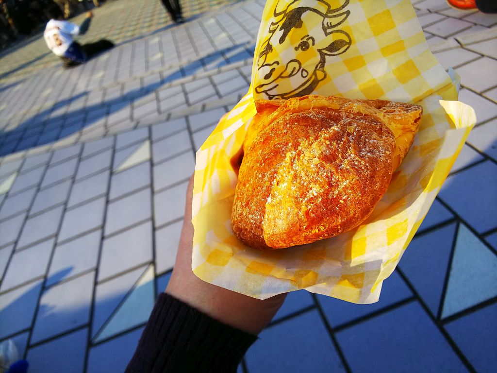 f:id:inaka:20190303184207j:image:w360