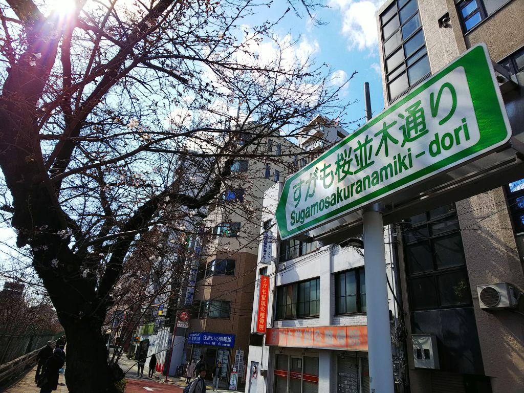 f:id:inaka:20190324212534j:image:w360