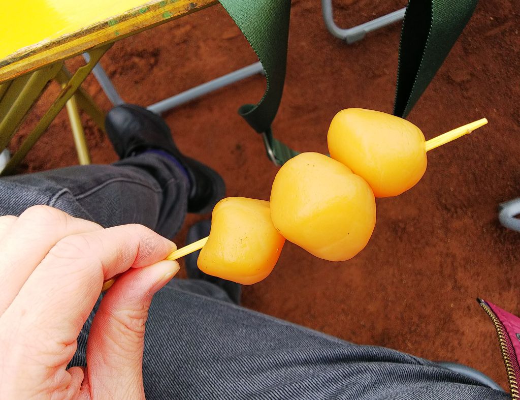 f:id:inaka:20190401224355j:image:w360