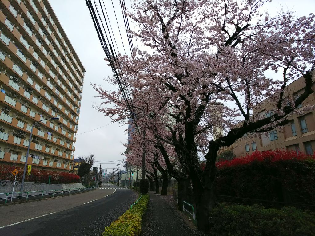 f:id:inaka:20190401224634j:image:w360