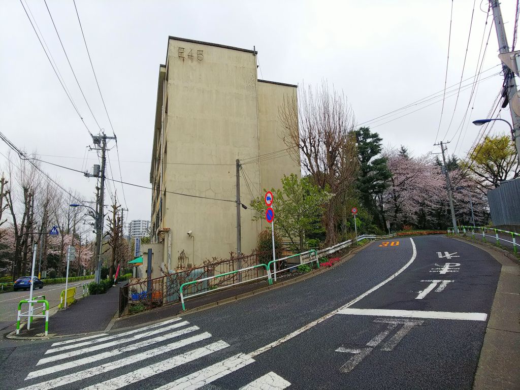 f:id:inaka:20190401224646j:image:w360
