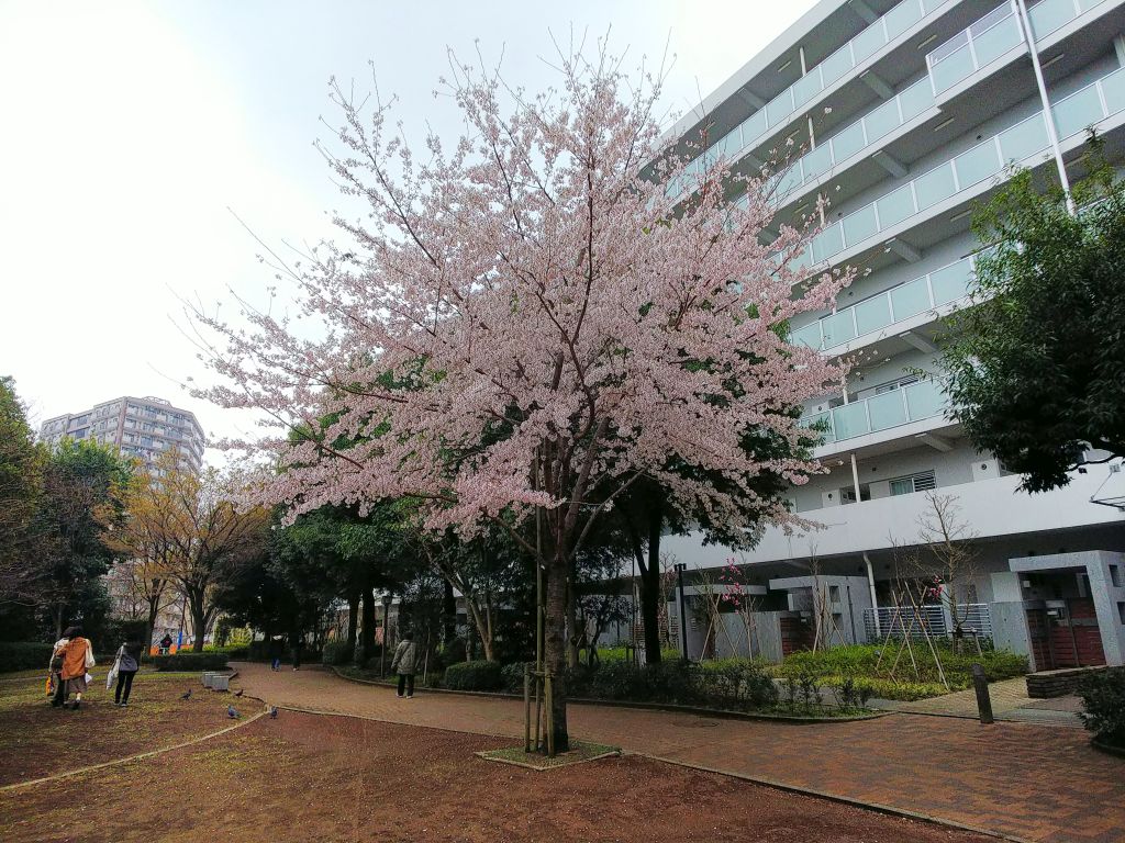 f:id:inaka:20190401224818j:image:w360